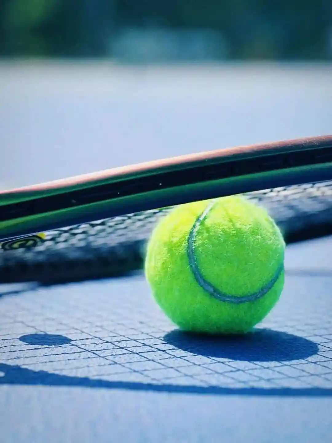 WTA500华盛顿站女单第二轮：纳瓦罗VS科恰雷托