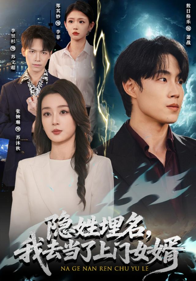 隐姓埋名，我去当了上门女婿