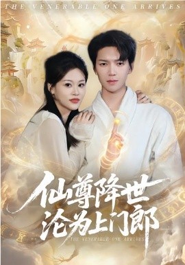 仙尊降世沦为上门郎