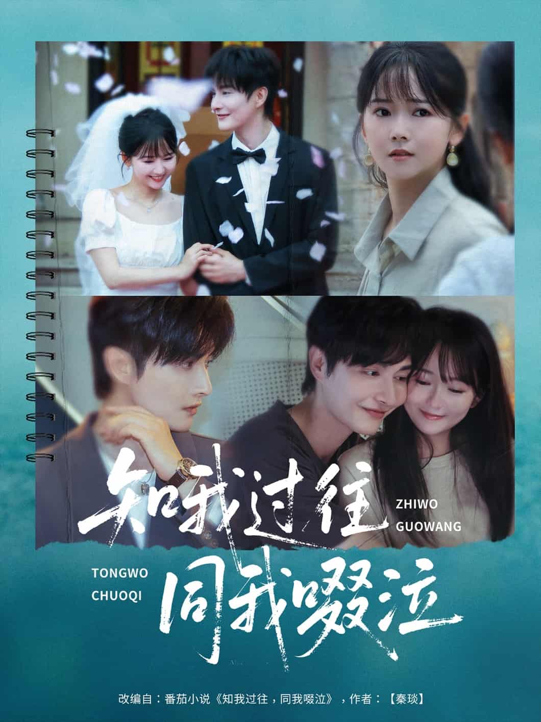 知我过往同我啜泣