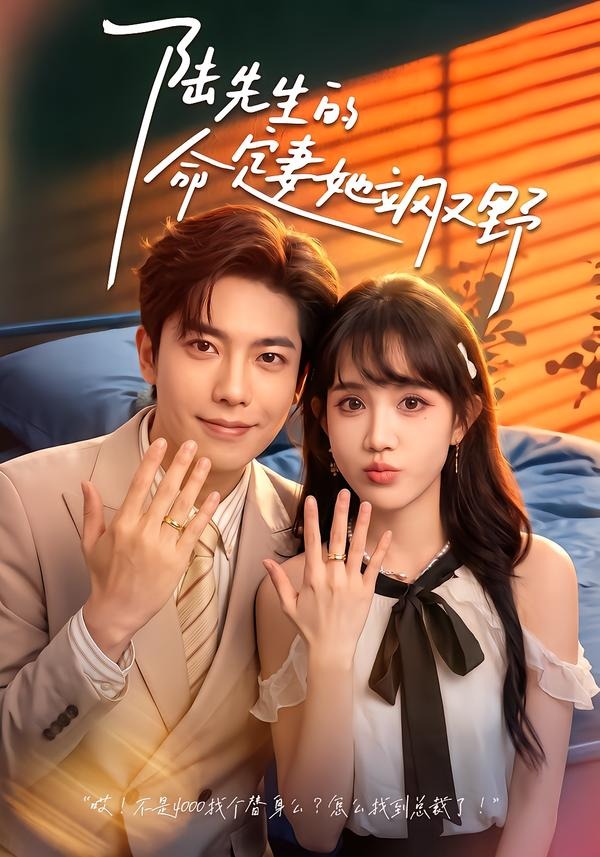 陆先生的命定妻她飒又野