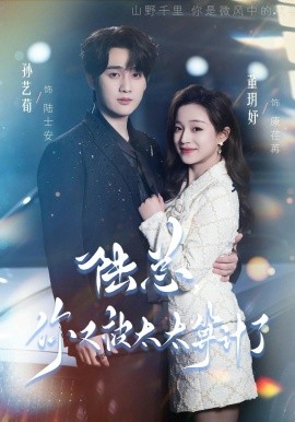 陆总，你又被太太算计了