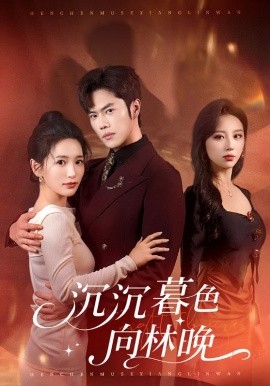 沉沉暮色向林晚